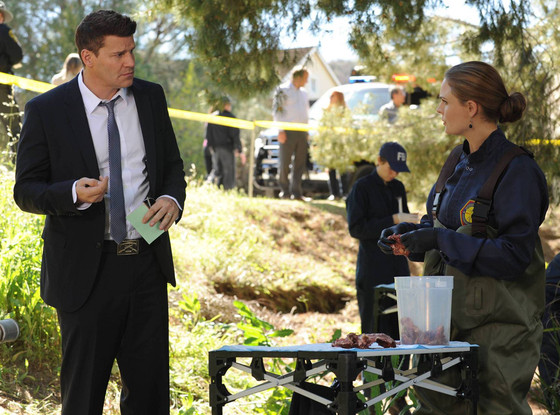 David Boreanaz, Emily Deschanel, Bones David Boreanaz, Emily Deschanel, Bones